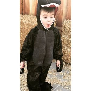 Dinosaur costume